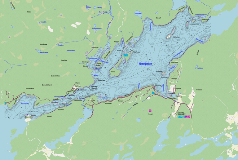 Kartutsnitt over Vegår